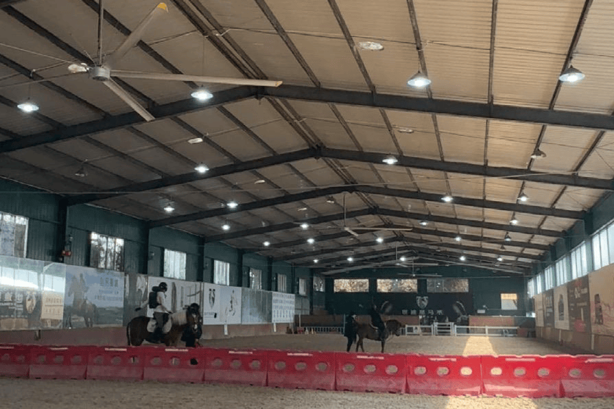 “马”上迎新春,成都马术运动爱好者超10万人,多家马术基地迎来客流小高峰