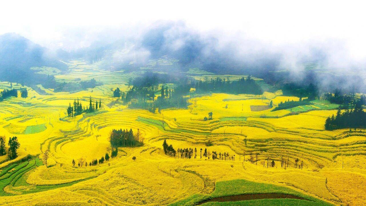 兴智家庭教育:春天带娃去哪儿玩?这些亲子游戏让旅行更有爱